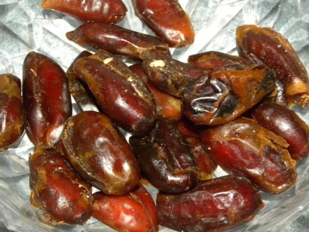 Fase Kematangan Kurma Sukari: Khalal, Rutab, Tamr — dan di Mana Mufattal Berada