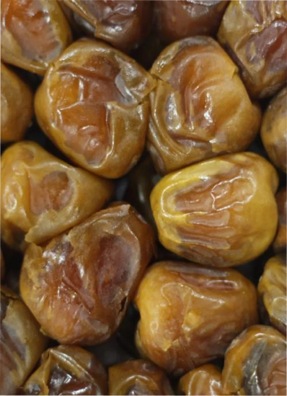 Sukkari vs Zahedi Dates: Comparing Sweetness, Texture, Sugar, and When to Choose Which
